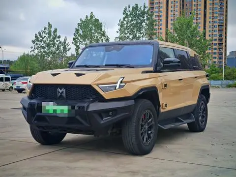 Mengshi 917 2023