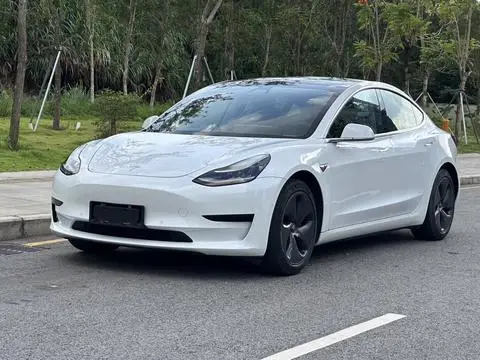Tesla Model 3 2020 — фото 1