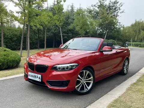 BMW 2 Series 2019