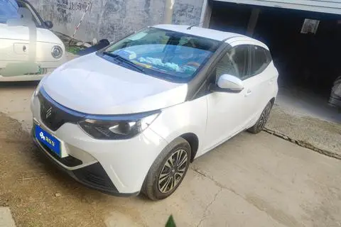 Jiangling 易至EV2 2024