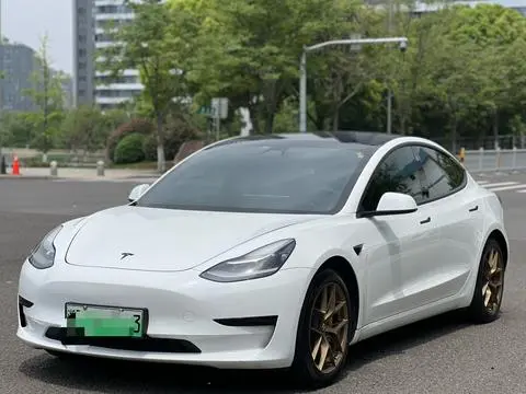 Tesla Model 3 2020