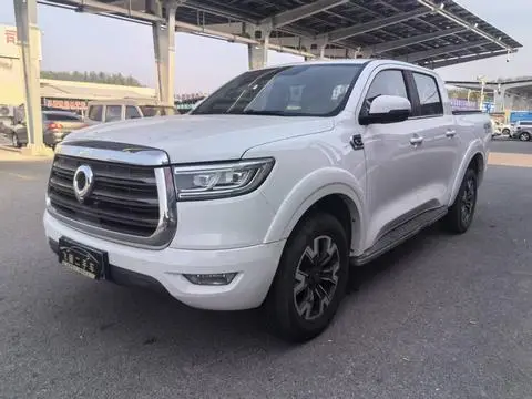 Great Wall 炮 2019