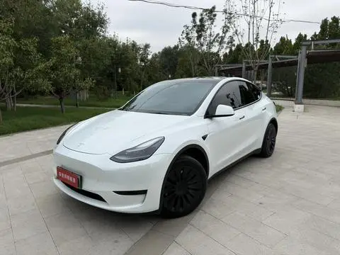 Tesla Model Y 2023 — фото 1