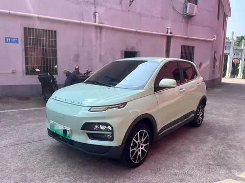 Dayun 悦虎 2023
