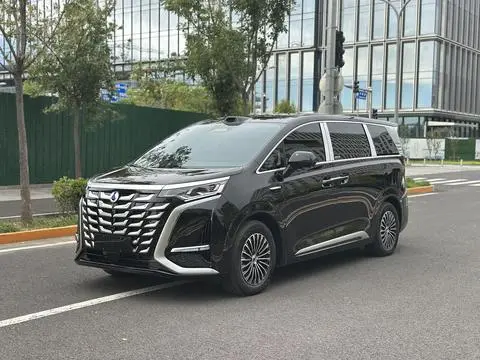 Denza D9 DM 2025