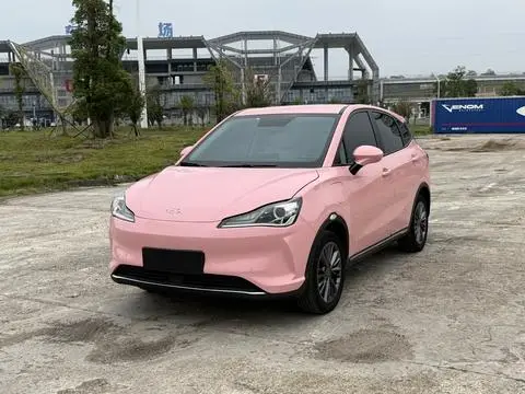 NETA V 2022