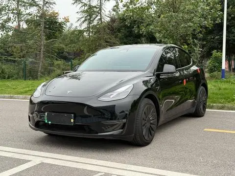 Tesla Model Y 2021 — фото 1
