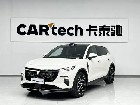 Voyah 知音 2025