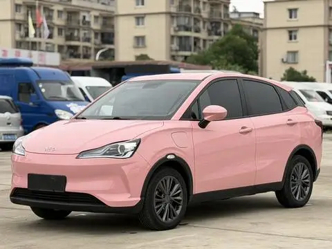 NETA V 2021