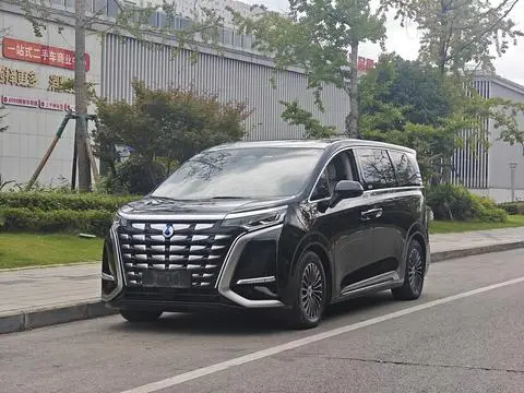 Denza D9 DM 2024