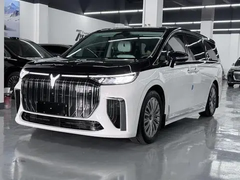 Voyah 梦想家 EV 2022