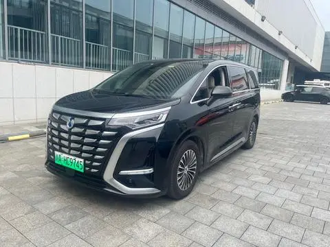 Denza D9 DM 2024
