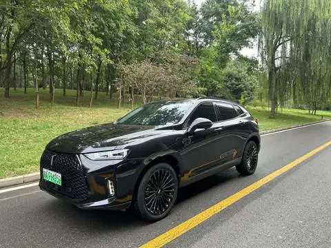 Wey P8 2018