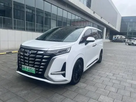 Denza D9 DM 2022