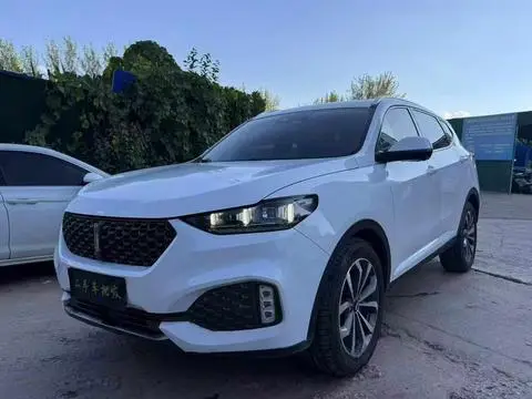 Wey VV6 2020