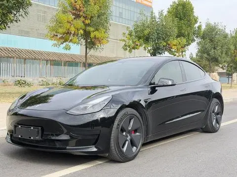 Tesla Model 3 2021 — фото 1