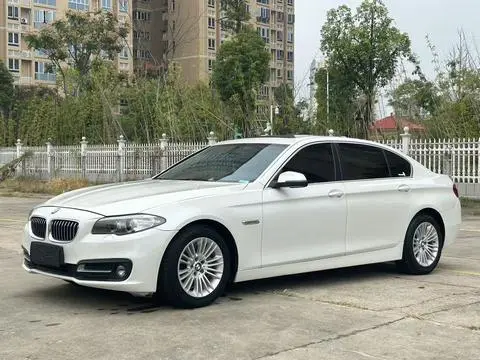 BMW 5 Series 2014 — фото 1