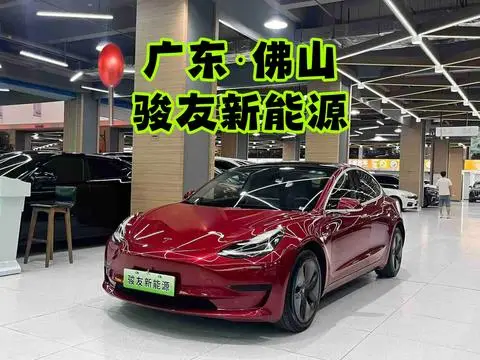 Tesla Model 3 2019