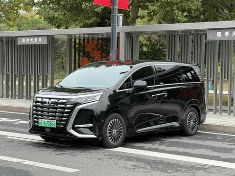 Denza D9 DM 2022