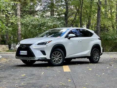 Lexus NX 2020