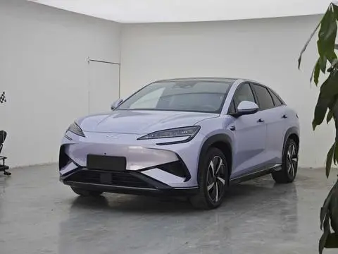 BYD 海狮07EV 2024