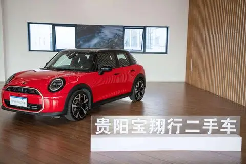 MINI MINI 2025