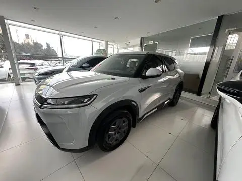 BYD 元UP 2024