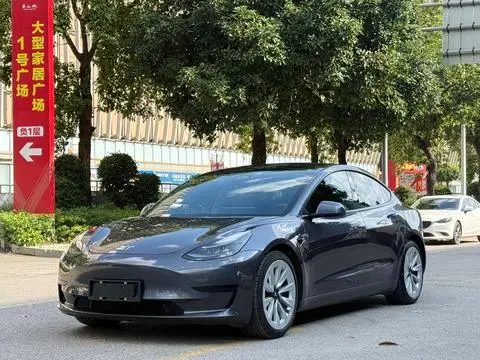 Tesla Model 3 2021