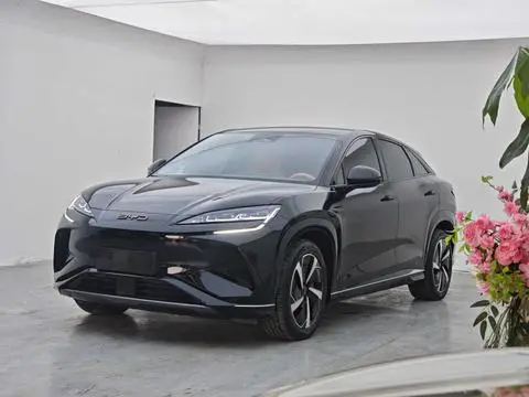BYD 海狮07EV 2024