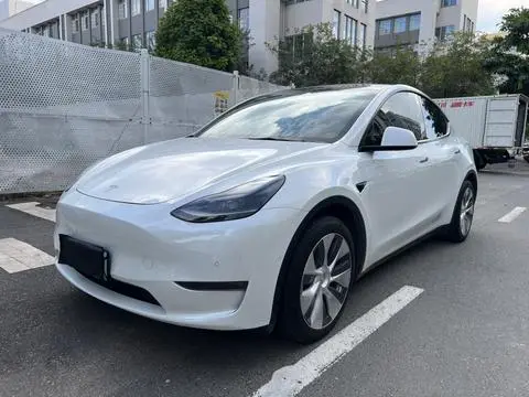 Tesla Model Y 2021 — фото 1