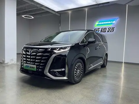 Denza D9 DM 2024