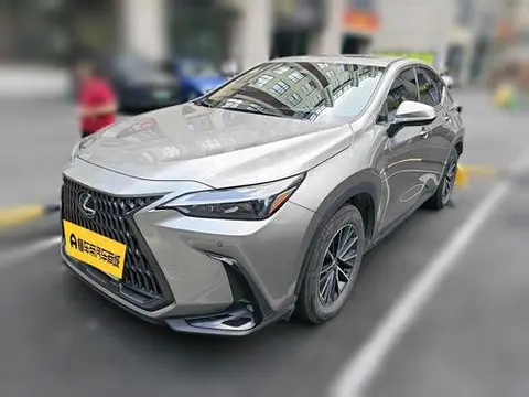 Lexus NX PHEV 2022