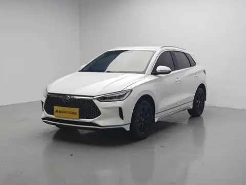 BYD e2 2021