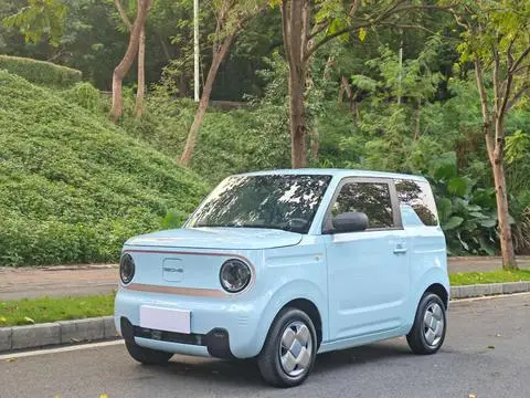 Geely 熊猫 2023