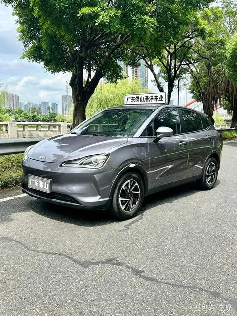 NETA V 2021