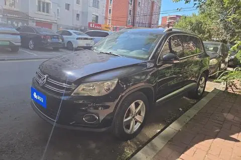 Volkswagen Tiguan 2010