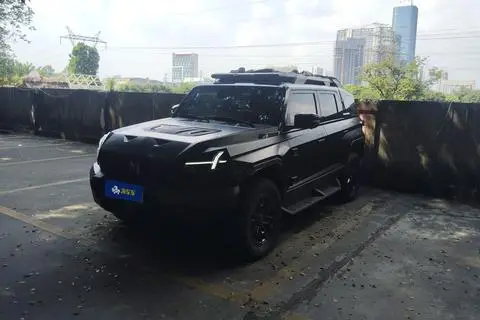 Mengshi 917 2023