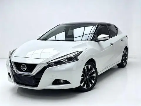 Nissan 蓝鸟 2019