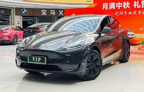 Tesla Model Y 2024 — фото 1