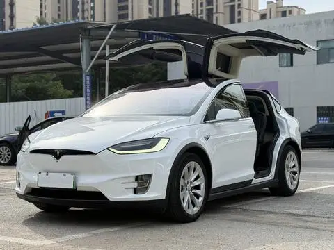 Tesla Model X 2016 — фото 1
