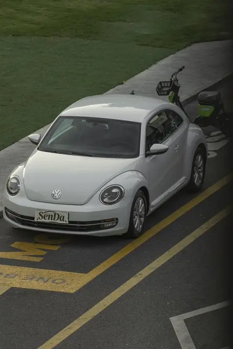 Volkswagen 甲壳虫 2015