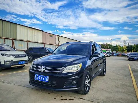Volkswagen Tiguan 2010