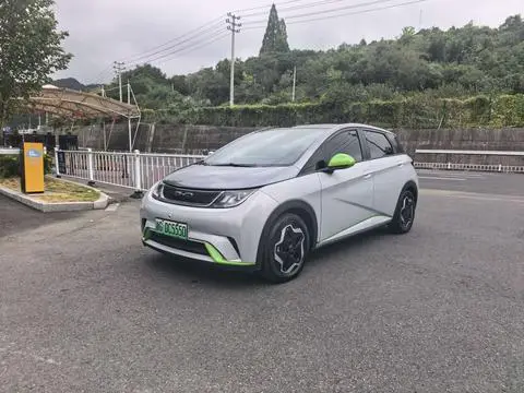 BYD Dolphin 2021