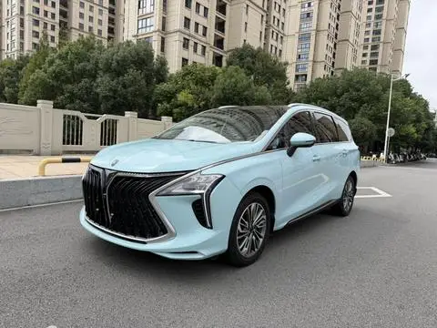 Forthing 风行游艇 2023
