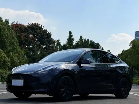 Tesla Model Y 2024 — фото 1
