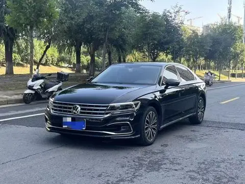 Volkswagen 辉昂 2021