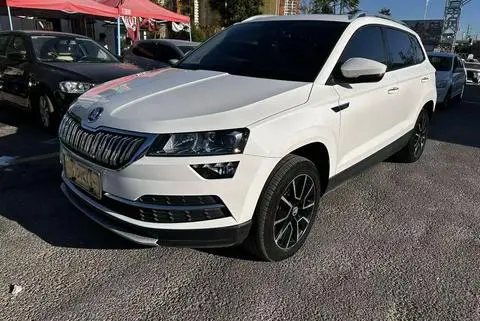 Skoda 柯珞克 2018 — фото 1