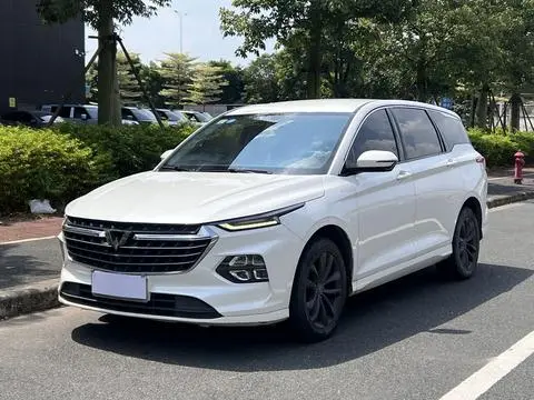 Wuling 凯捷Victory 2020