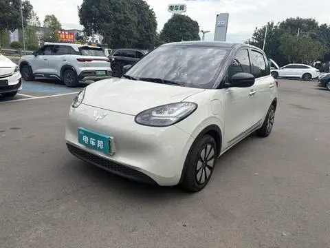 Wuling Bingo 2024