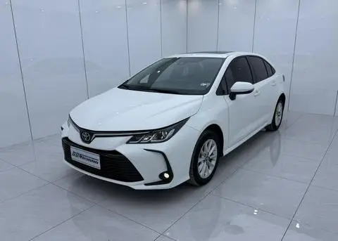 Toyota Corolla 2021 — фото 1
